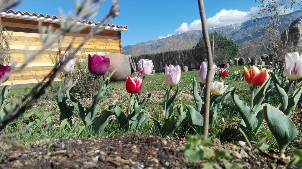 La Cabana Del Alberche นาวาลูเอ็นกา ภายนอก รูปภาพ